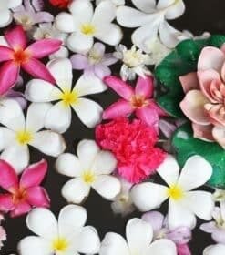 Senteurs & accessoires